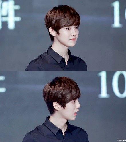 吃瓜娱乐圈鹿晗图片高清,娱乐圈瓜田里的清新风景